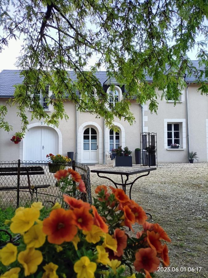 Villa Esperanza Chambre De Plain-Pied, Independante, Proche Zoo De Beauval Et Chateaux De La Loire Valençay Exteriör bild